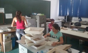 foto_peld1