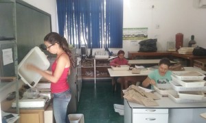 foto_peld2